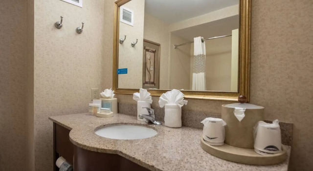 Номер Standard Hampton Inn Hadley-Amherst Area