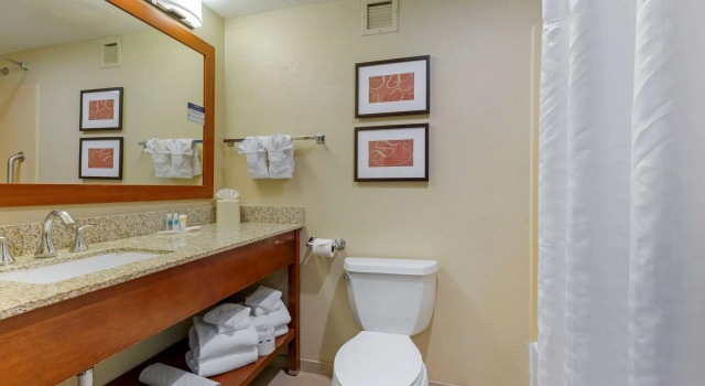 Четырёхместный люкс Comfort Suites Fredericksburg South