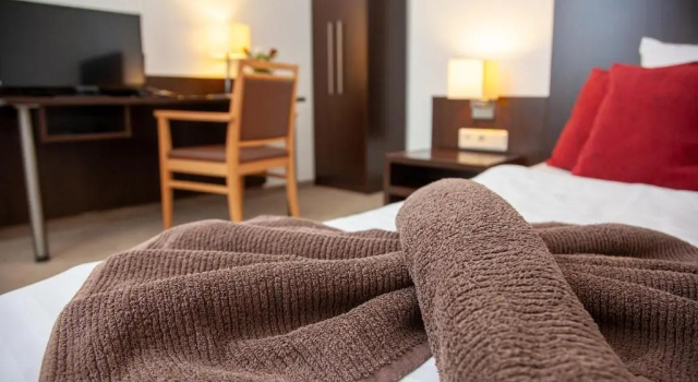 Одноместный номер Standard Seehotel Zum Löwen