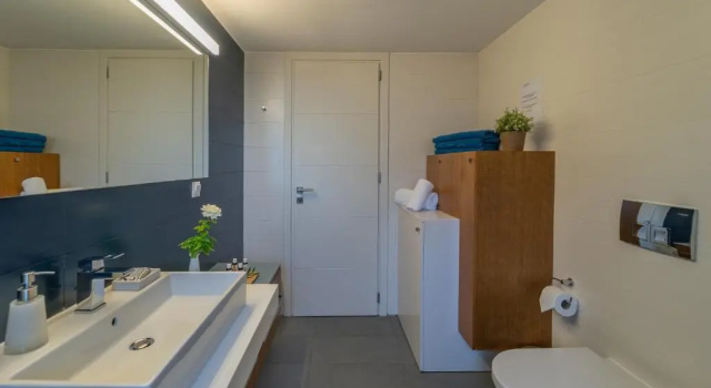 Апартаменты Deluxe с 2 комнатами Abelia Luxurious Villas