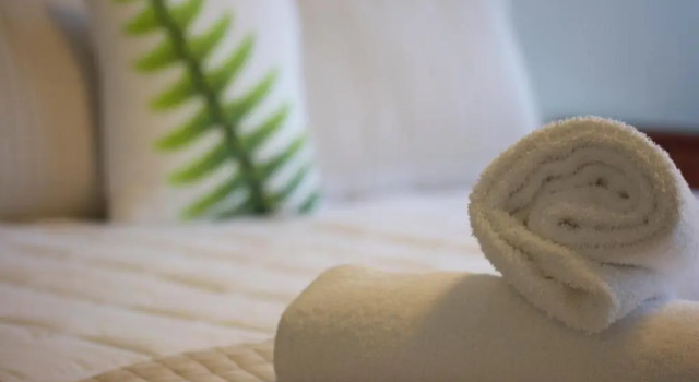 Студия Premium Stumpers Hotel