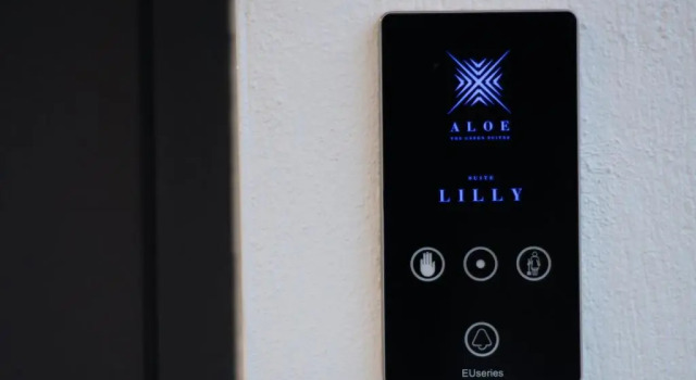 Люкс Deluxe Aloe The Green Suites - Nikiti Halkidiki