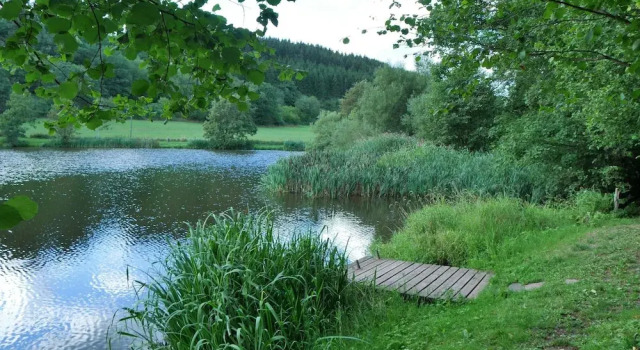Апартаменты Apartment in Eifel Near Hiking Trails