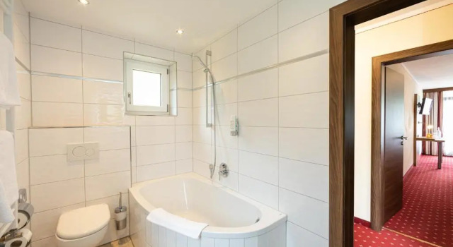 Семейный номер Standard Hotel AlpinaRos