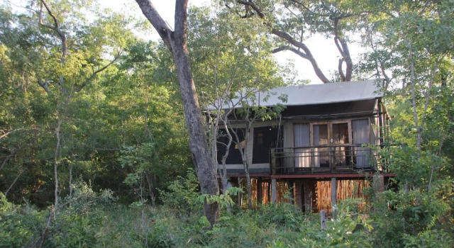 Hütte Miombo Safari