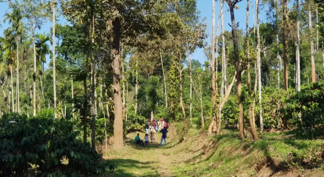 Номер Standard THE SUVISTARA WAYANAD KERALA