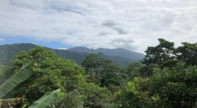 Номер Deluxe Mossman Gorge Bed and Breakfast