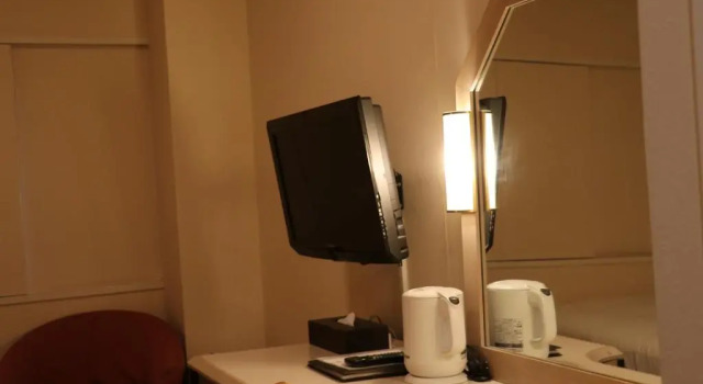 Одноместный номер Deluxe Aizuwakamatsu Washington Hotel