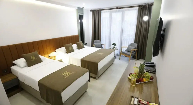 Standardowy trzyosobowy rodzinny pokój z widokiem na miasto Edirne Gezgin Hotel