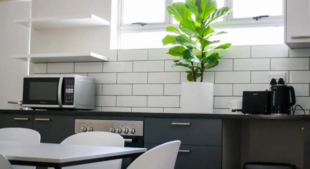 Кровать в общем номере (мужской номер) CURIOCITY Green Point
