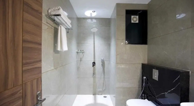 Номер Superior Shree Anandam Resort