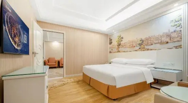 Люкс Business Vienna Hotel (Shenzhen Pingdi Branch)