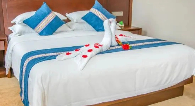 Двухместный люкс Business Phoenix International Hotel