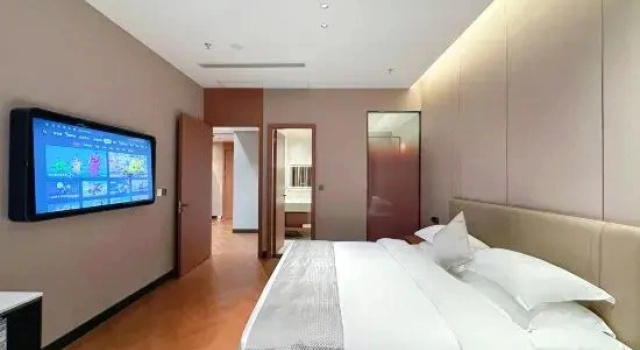 Люкс Premier Tumai·Xinchengpu Hotel (Kaijiang County Chengpu Building Branch)