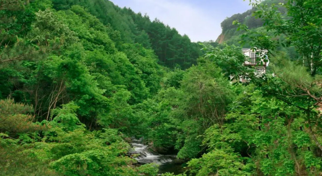 Overnight Pension, Prenota Appartamento Hotel a Gyeonggi-do con parcheggio, Parcheggio