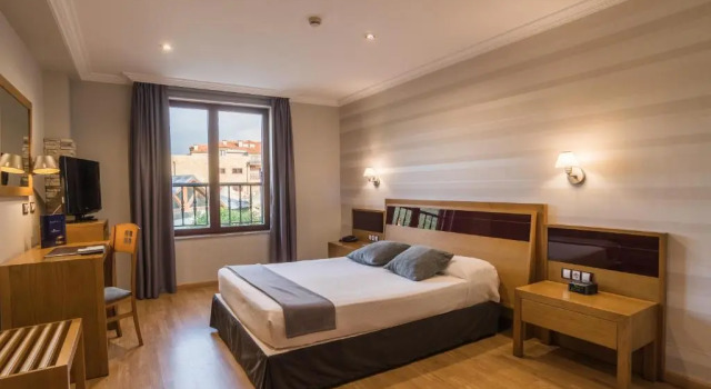 Номер Business Apartamentos Spa Villa Pasiega