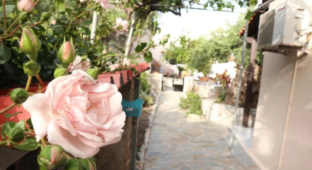 Petasos House, Sea View with Private Garden, Забронировать Отель Плакиас Центральный Крит