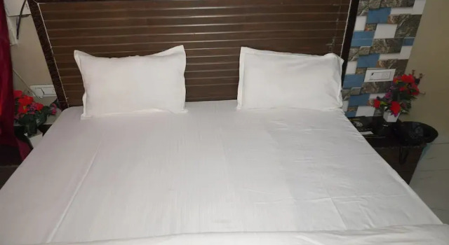 Номер Deluxe Pragati Hotel