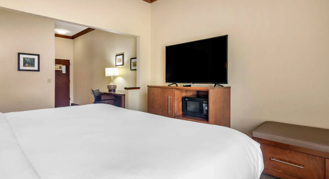 Двухместный люкс Comfort Inn & Suites Statesboro - University Area