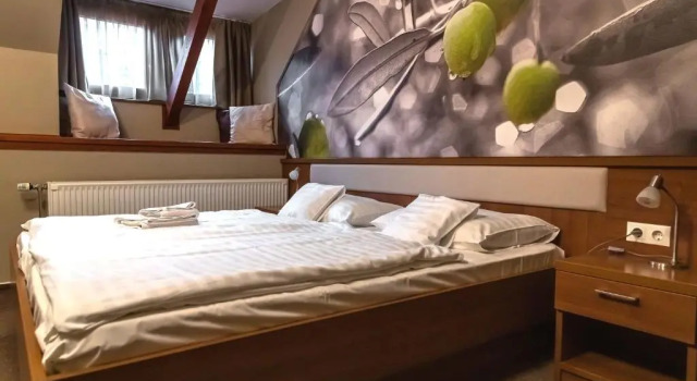 Двухместный номер Standard Oliva Hotel