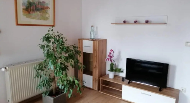Апартаменты c 1 комнатой Ferienwohnung Michlwirt
