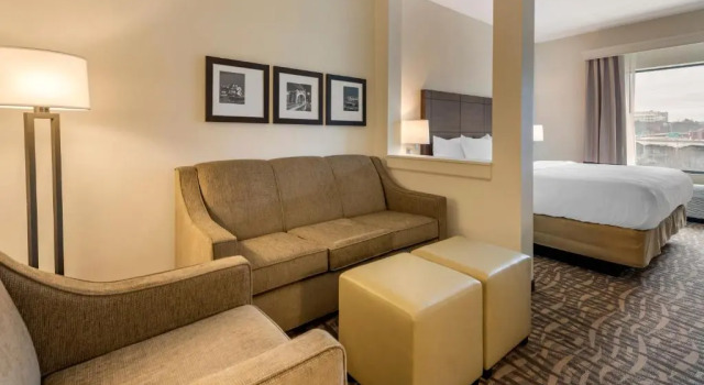 Люкс Comfort Inn & Suites Pittsburgh-Northshore