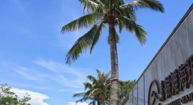 Nanhai Mingzhu Sea View Resort Homestay