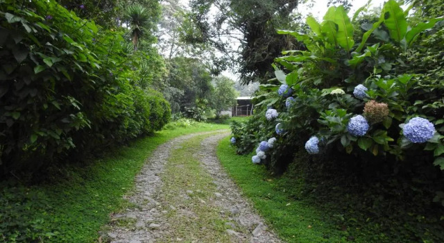 Коттедж Monteverde Wildlife Paradise - Nature Lovers