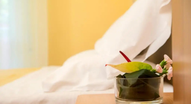 Номер Standard Hotel Rita