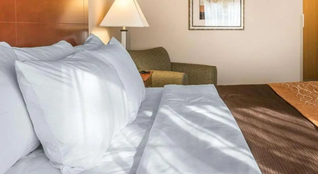 Номер Standard Comfort Inn New Buffalo