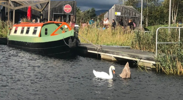 Номер Standard NEW 2022! Fixed stay characterful narrowboat at the Kelpies, Marigold Sunset