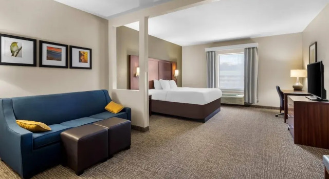 Двухместный номер Standard Comfort Suites Goodlettsville Rivergate