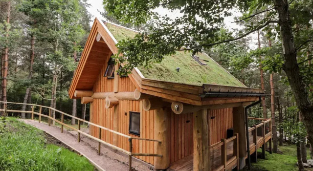 Коттедж Pine Marten Lodge