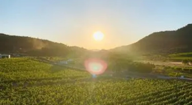 Quinta do Palame, Забронировать Отель Вила-Флор Port Wine Route