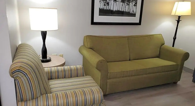 Двухместная студия Country Inn & Suites by Radisson, Buford at Mall of Georgia, GA