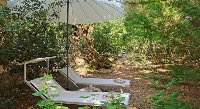 Prasini Luxury Cottage, Book Vacation Home Hotels in Paxoi with a Pool, Swimming Pool
