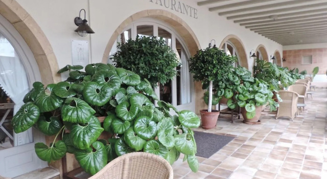 Hotel Los Ángeles Denia, Забронировать Отель Дения Коста-Бланка