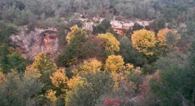 Двухместный номер Standard Centro de Naturaleza Cañada Verde "To relax in Enchanted Forest"