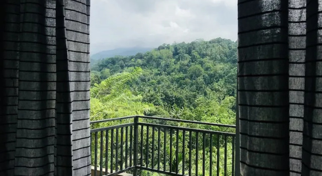 Люкс Tea Garden Eco Villas