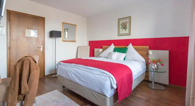 Двухместный номер Standard Hotel Vorderburg