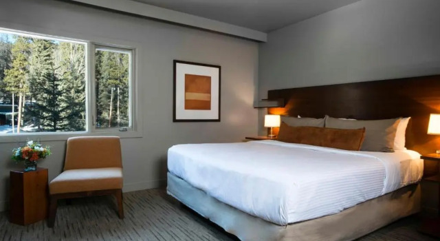 Standard Doppel Zimmer The Juniper Hotel & Bistro