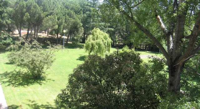 Трёхместный номер Standard Hotel Escuela Madrid