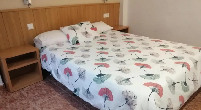 Двухместный номер Standard Hostal Andrés