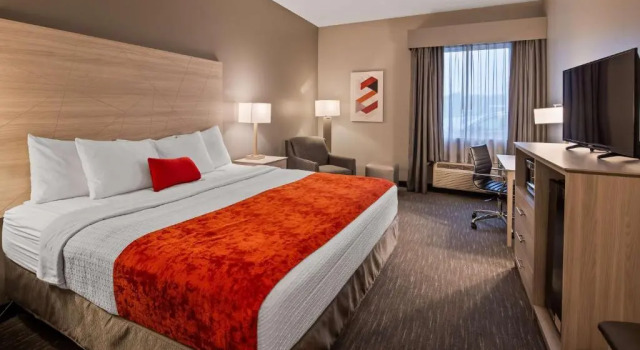 Номер Standard Best Western Plus New Cumberland
