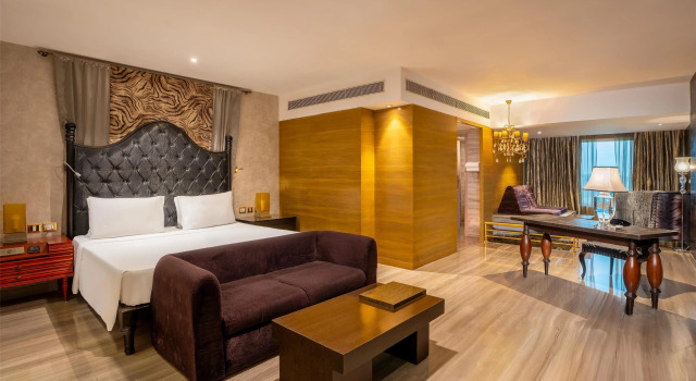 Номер Standard Radisson Blu Hotel, Ludhiana