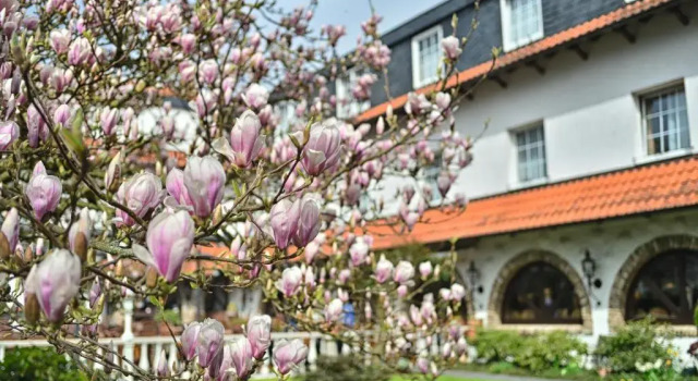 Vichter Landhaus, Забронировать Дом для отпуска Коттеджи Айфель, Коттедж
