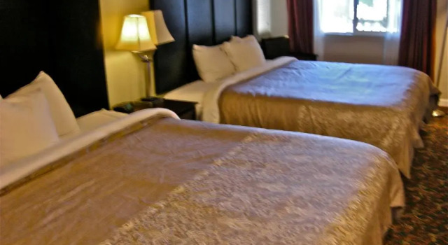 Люкс Superior Global Inn