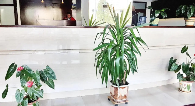 Best Apartments in Most City