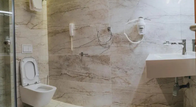 Апартаменты Business Hotel President