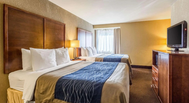 Четырёхместный номер Standard Comfort Inn Tupelo Central